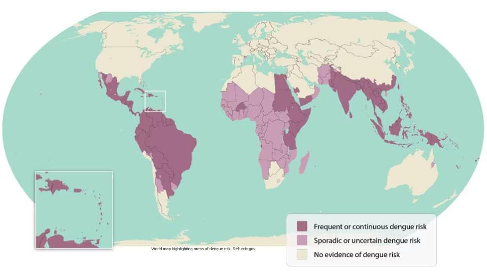 dengue fever areas travel clinic yarmouth